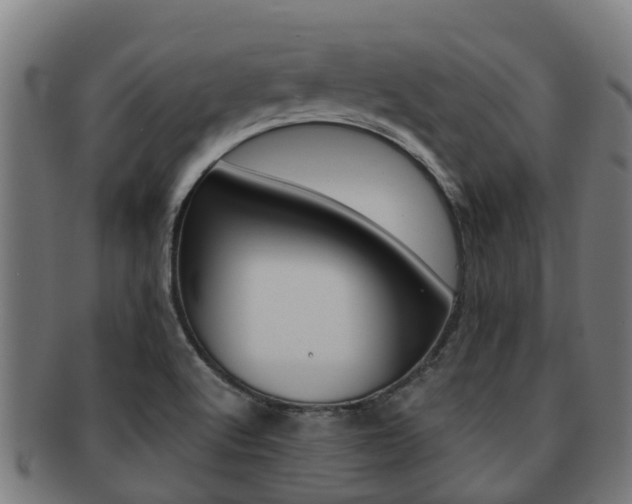 X0000091921512200709051221
