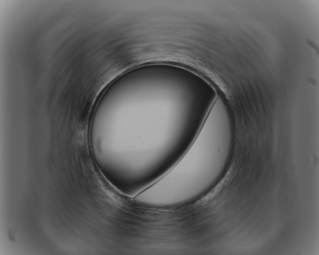 X0000091921513200709051221