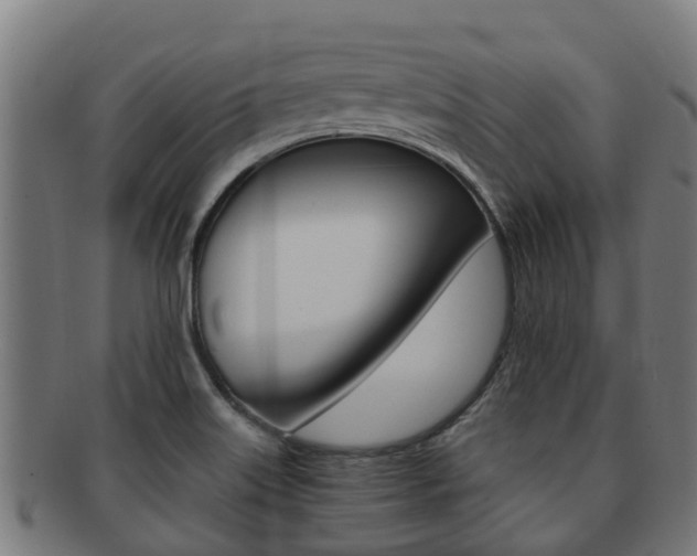 X0000091921515200709051221