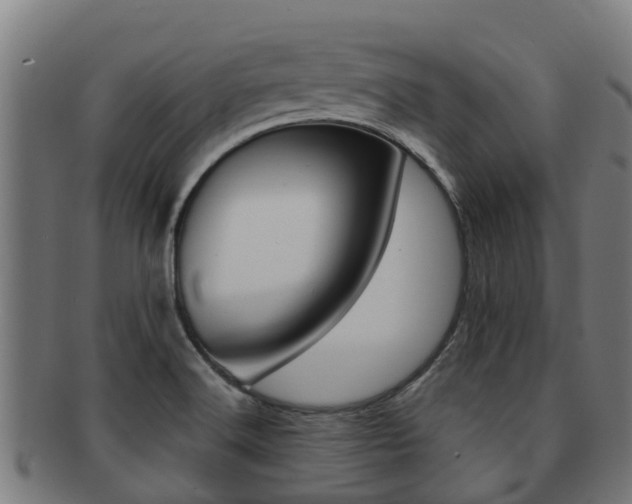 X0000091921516200709051221