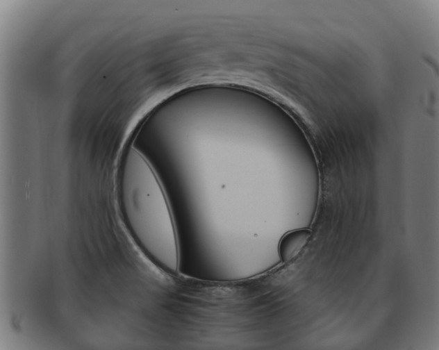 X0000091921517200709051221