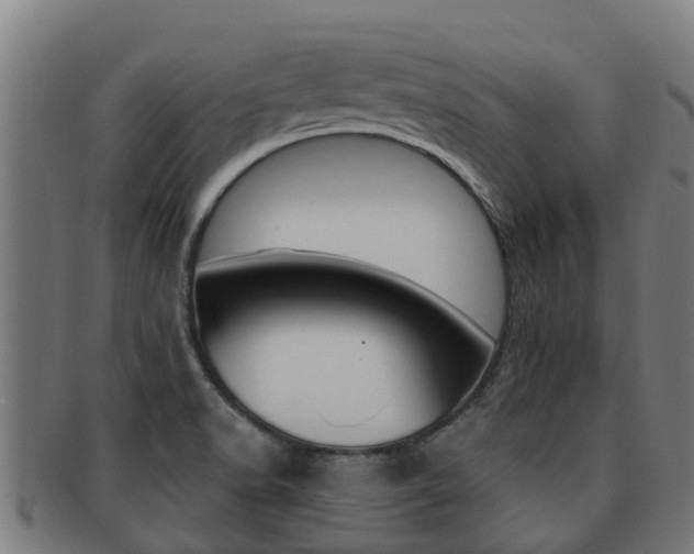 X0000091921518200709051221