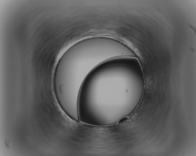 X0000091921520200709051221