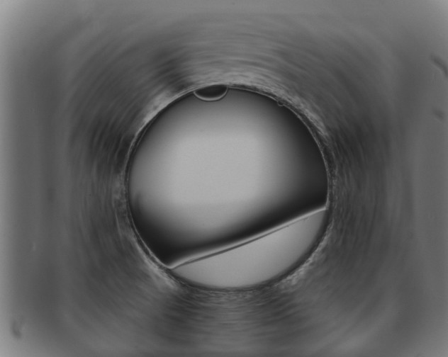 X0000091921521200709051221