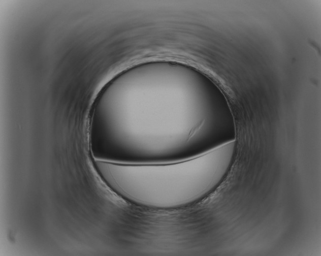 X0000091921522200709051221