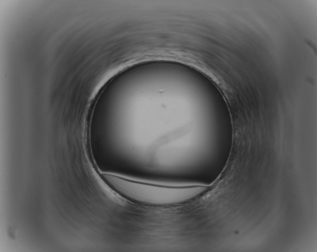 X0000091921523200709051221