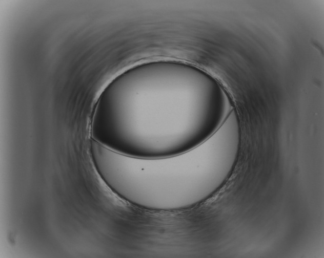 X0000091921524200709051221