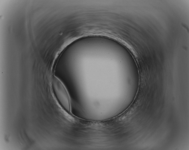 X0000091921525200709051221