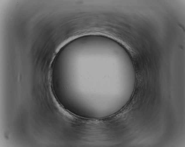X0000091921526200709051221