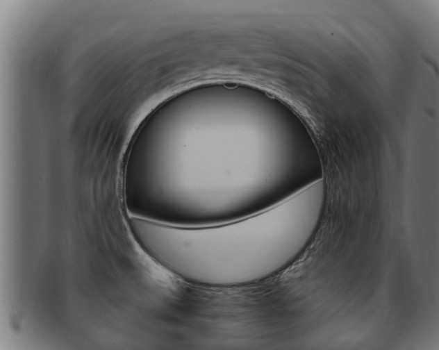 X0000091921527200709051221
