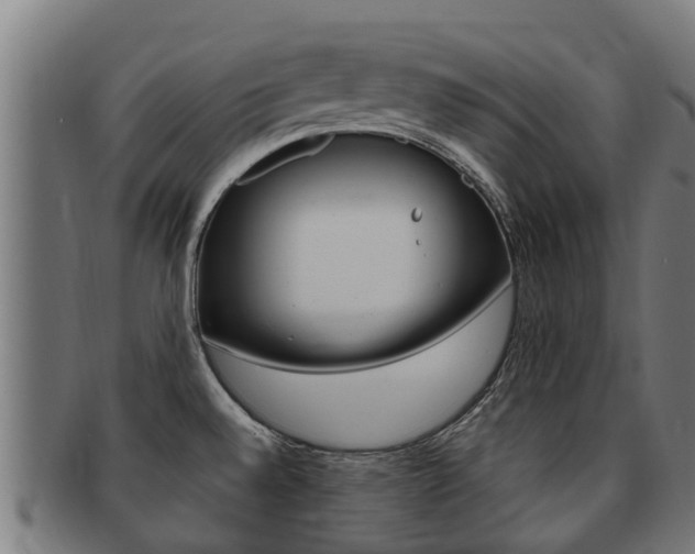 X0000091921528200709051221