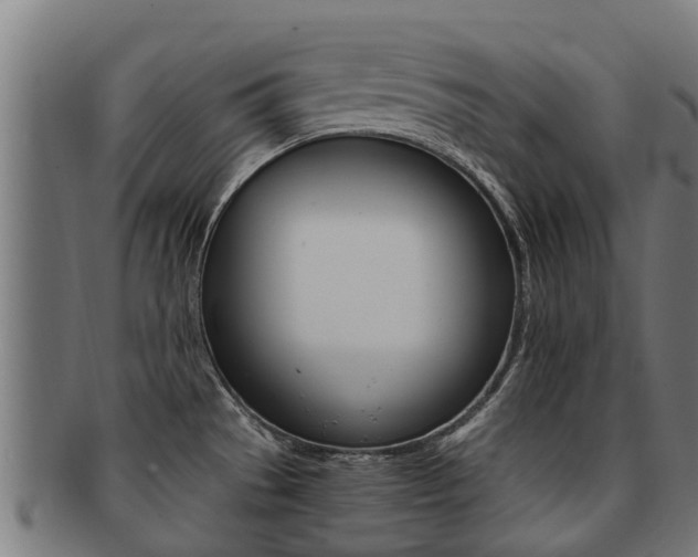 X0000091921529200709051221