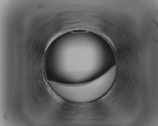 X0000091921530200709051221