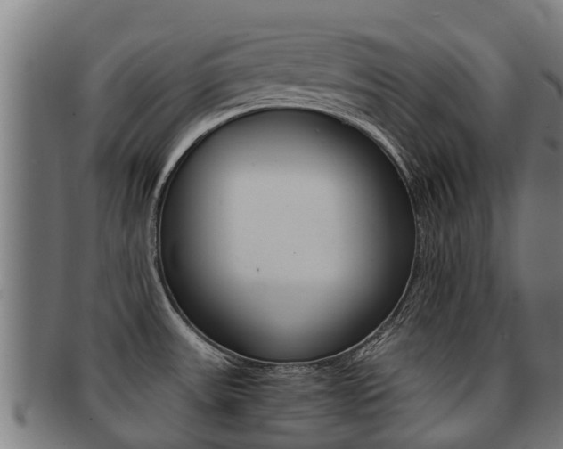 X0000091921531200709051221