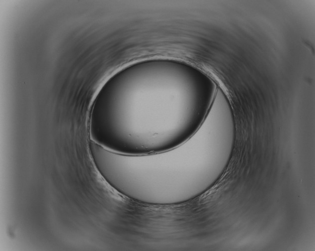 X0000091921532200709051221