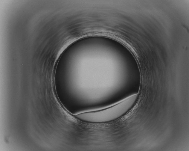 X0000091921533200709051221