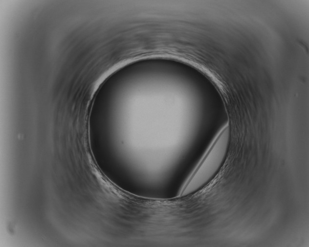 X0000091921534200709051221