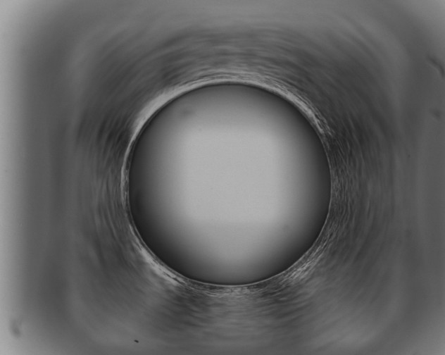 X0000091921535200709051221