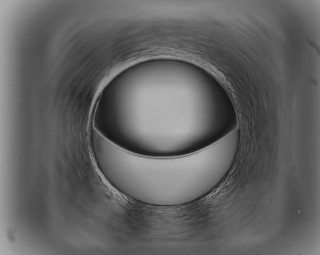 X0000091921536200709051221