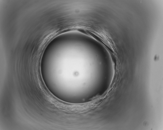 X0000091920001200709051450