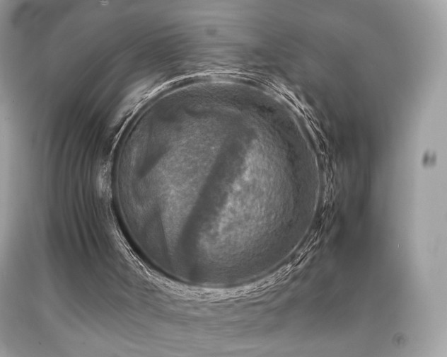 X0000091920002200709051450
