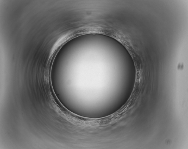 X0000091920004200709051450