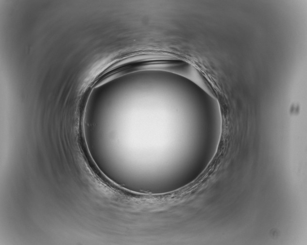 X0000091920005200709051450