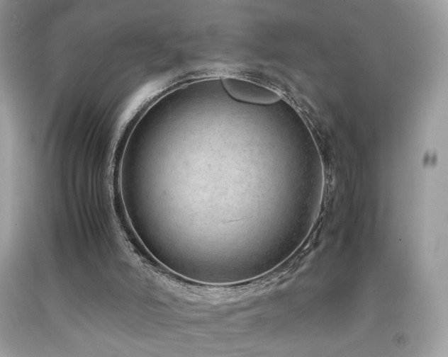 X0000091920006200709051450
