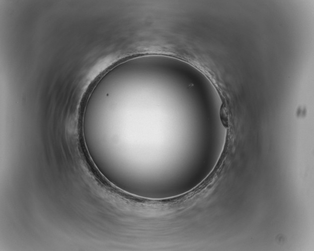 X0000091920008200709051450