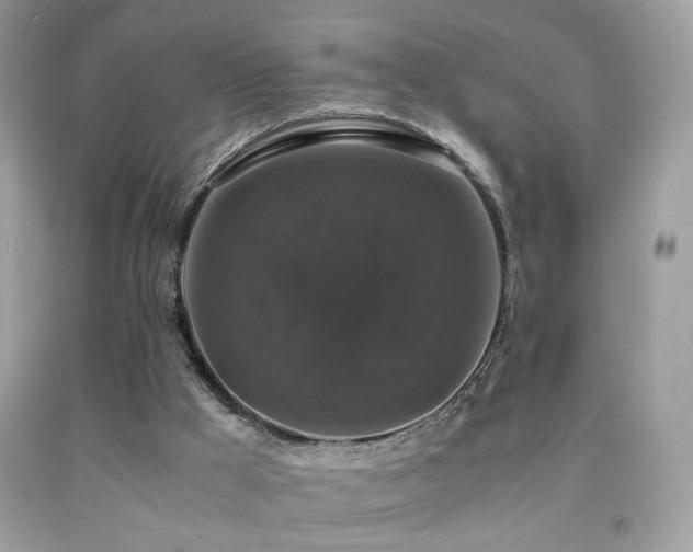 X0000091920009200709051450