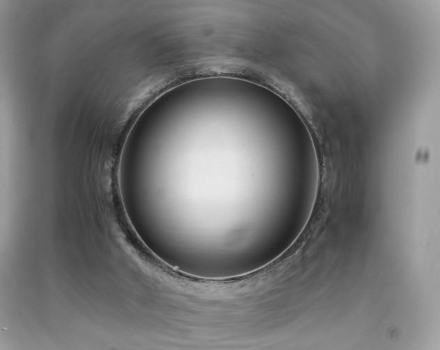 X0000091920010200709051450