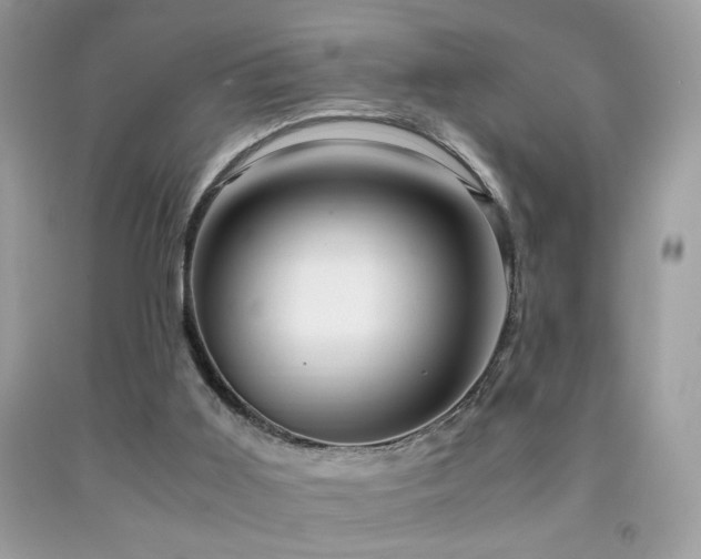 X0000091920011200709051450