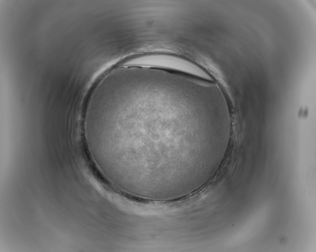 X0000091920012200709051450