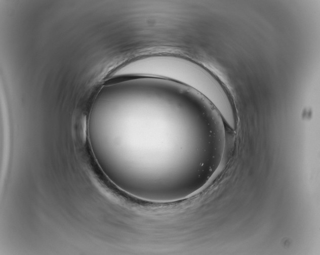 X0000091920013200709051450