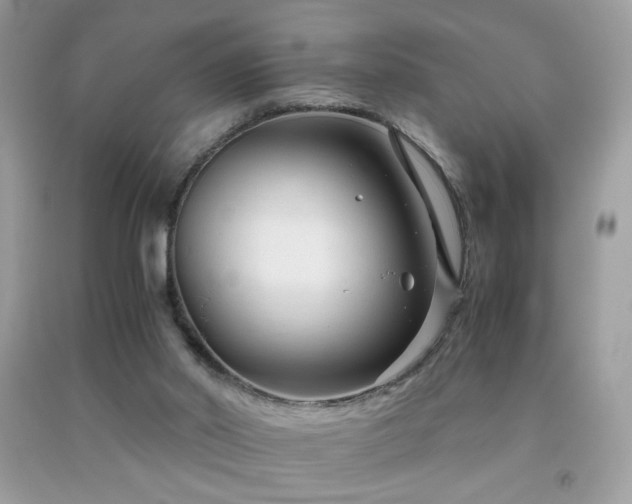 X0000091920014200709051450
