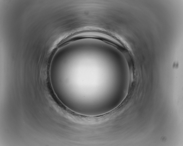 X0000091920015200709051450