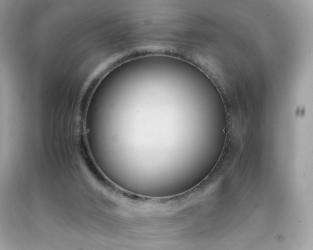 X0000091920016200709051450