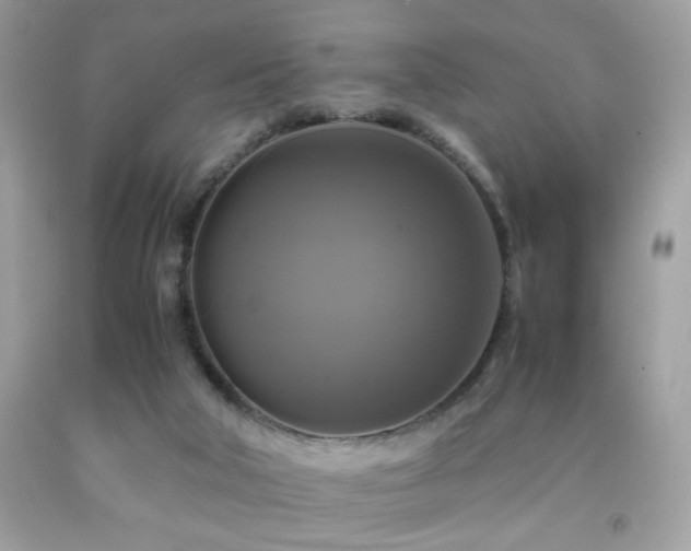 X0000091920018200709051450