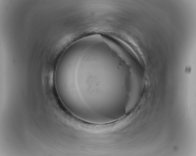 X0000091920019200709051450