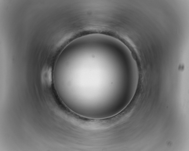 X0000091920020200709051450