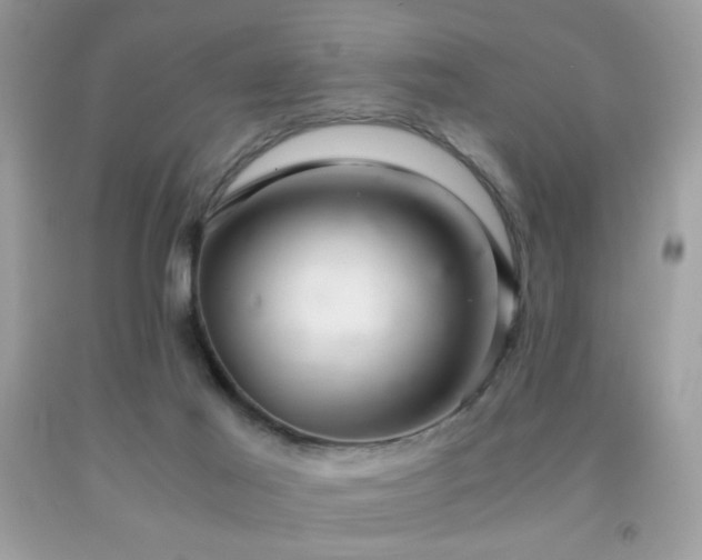 X0000091920021200709051450