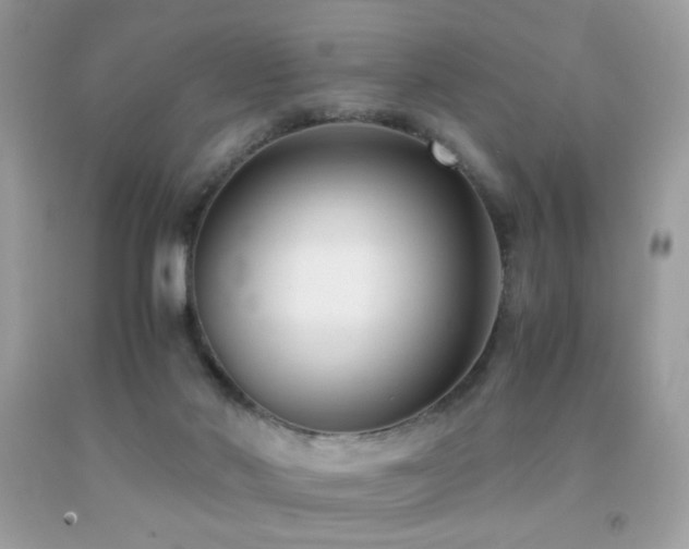 X0000091920022200709051450