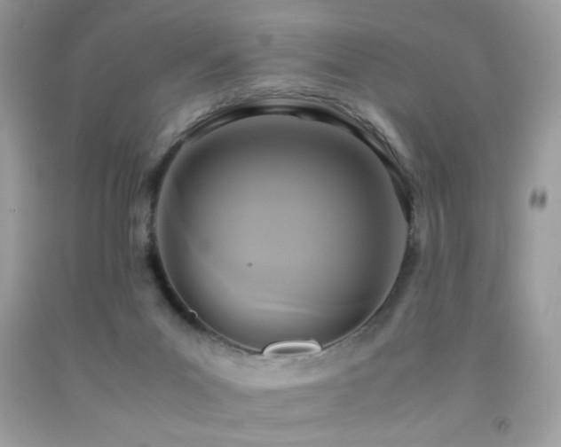X0000091920023200709051450