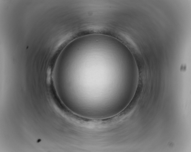X0000091920024200709051450