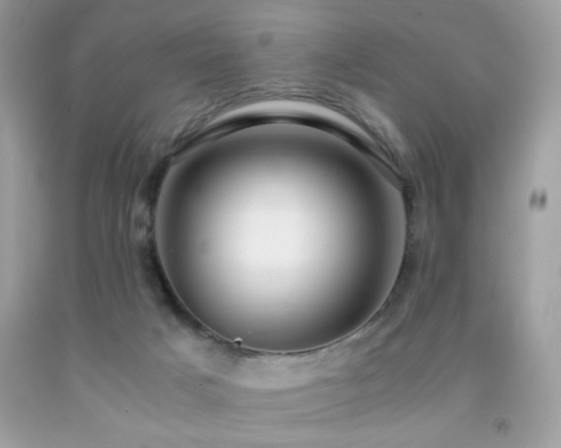 X0000091920025200709051450