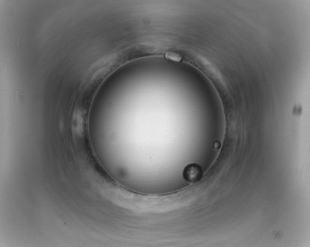 X0000091920026200709051450