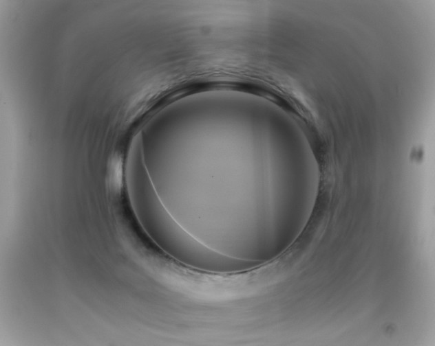 X0000091920027200709051450