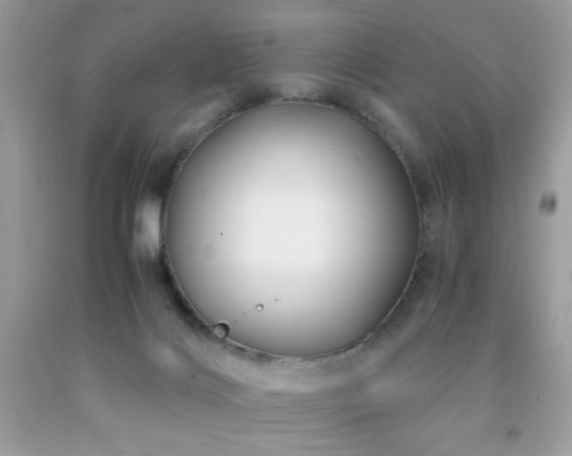 X0000091920028200709051450