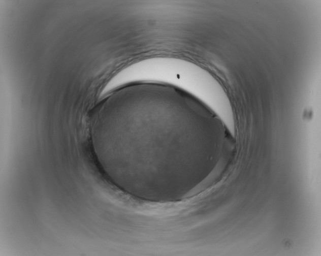 X0000091920029200709051450