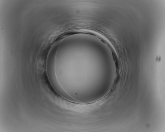 X0000091920031200709051450